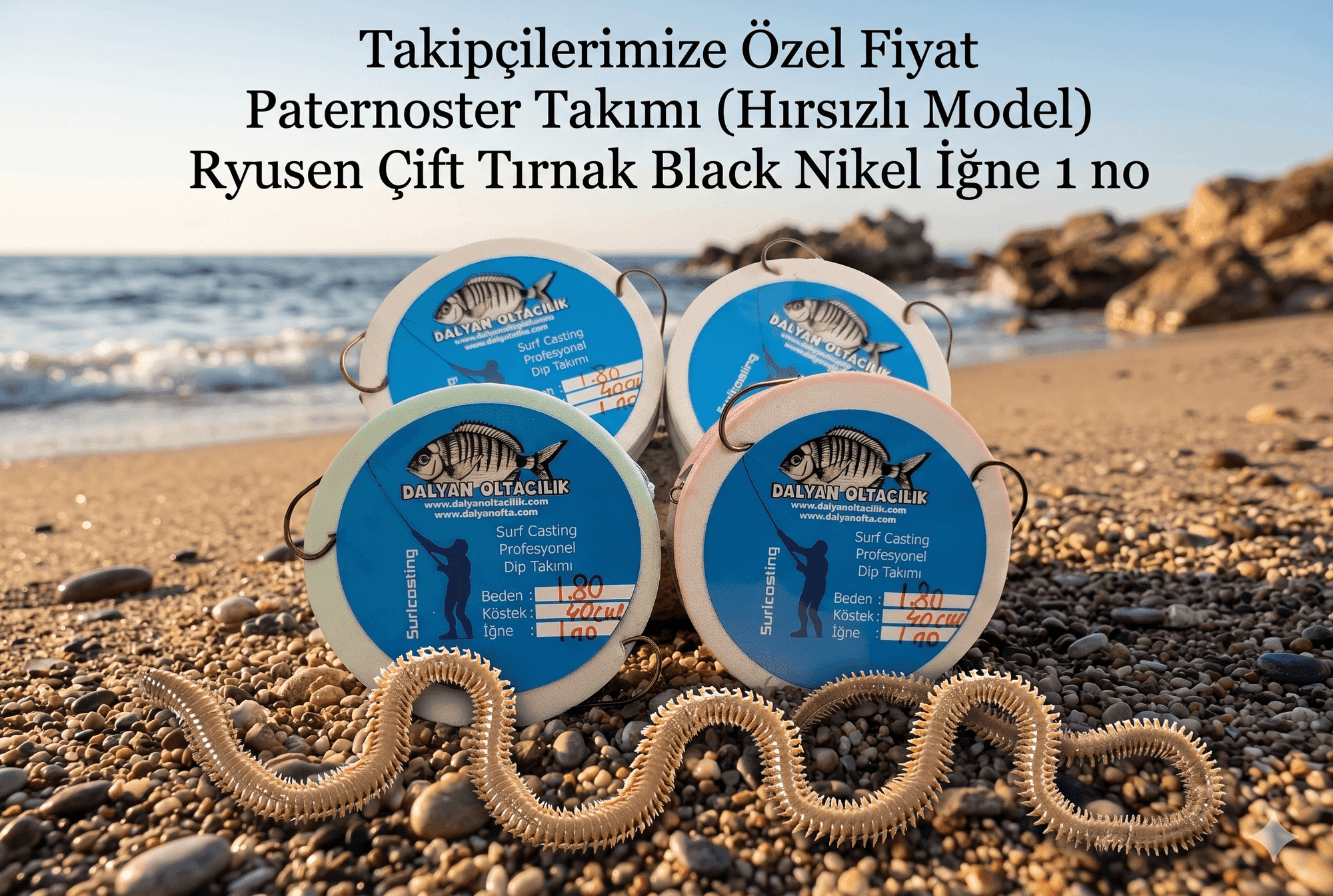 Canlı Deniz Solucanı ve Canlı Yem Çeşitleri